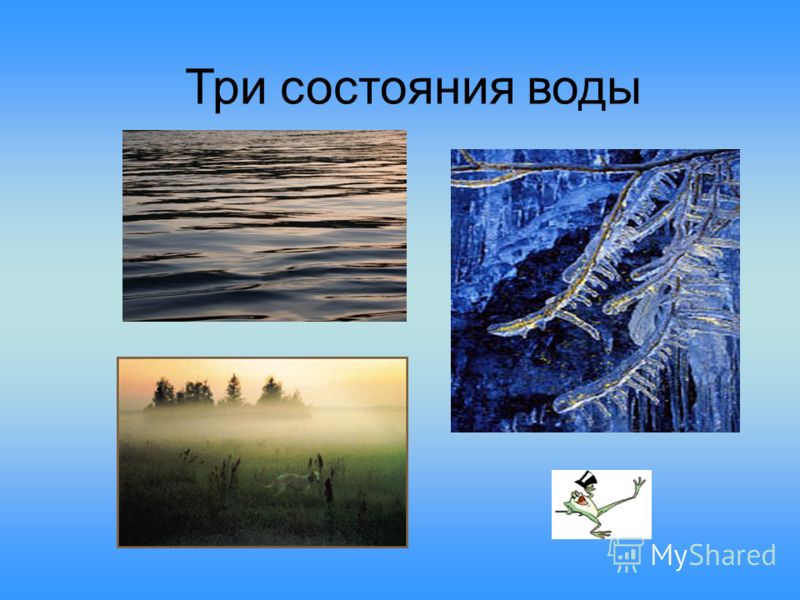 Реферат Три Состояния Воды Реферат Три Состояния Воды