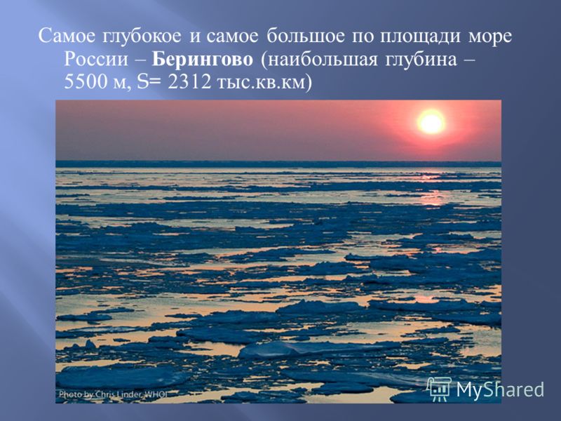 Самое глубокое и самое большое по площади море России – Берингово ( наибольшая глубина – 5500 м, S= 2312 тыс. кв. км )