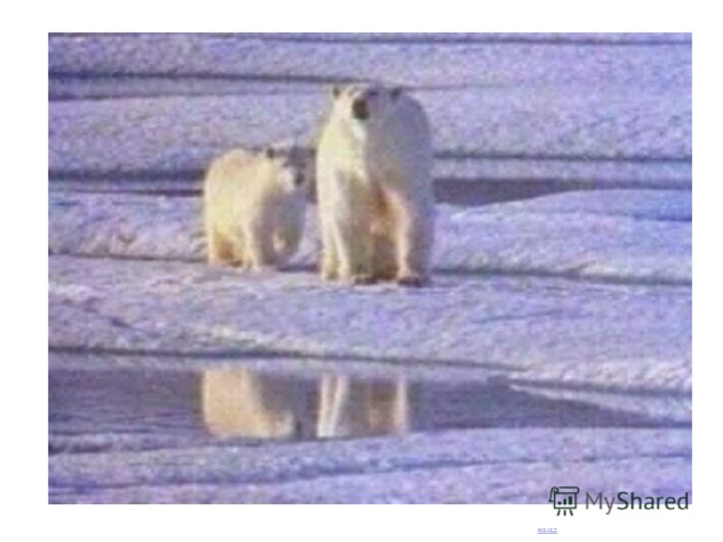 При орви начали болеть суставы