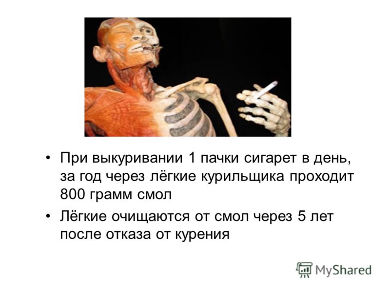 Очистить легкие после курения в домашних условиях 285 Очистить легкие после курения в домашних условиях 164