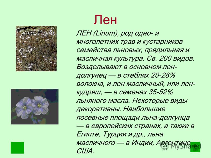 Реферат На Тему Лен Как Прядильная Культура