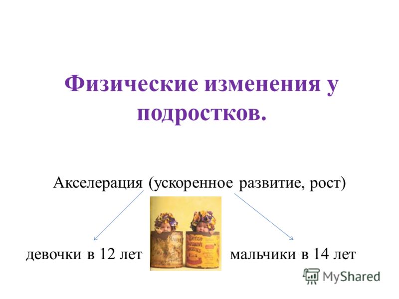 режим питания снижение веса режим питания снижение веса