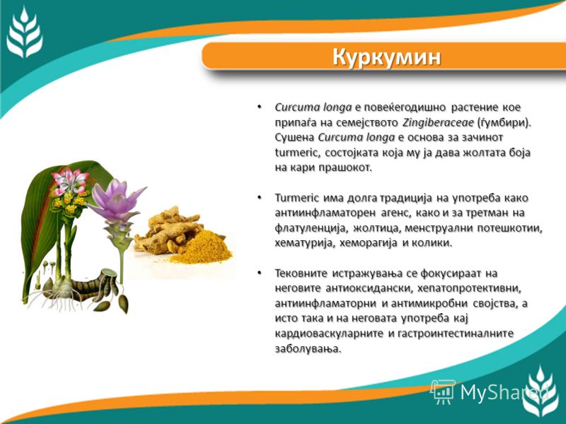 Глуварче Традиционално Taraxacum officinale се користи како лек против жолтица и други заболувања на хепарот и жолчното ќесе, а исто така и како лек против задршка на течности. Традиционално Taraxacum officinale се користи како лек против жолтица и д
