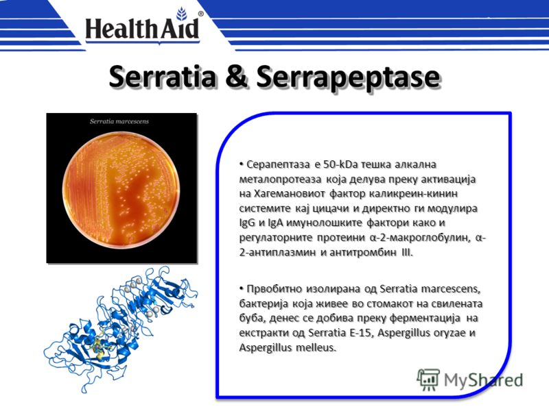 SerrapeptaseSerrapeptase протеолитички ензим со силно анти-инфламаторно дејство протеолитички ензим со силно анти-инфламаторно дејство