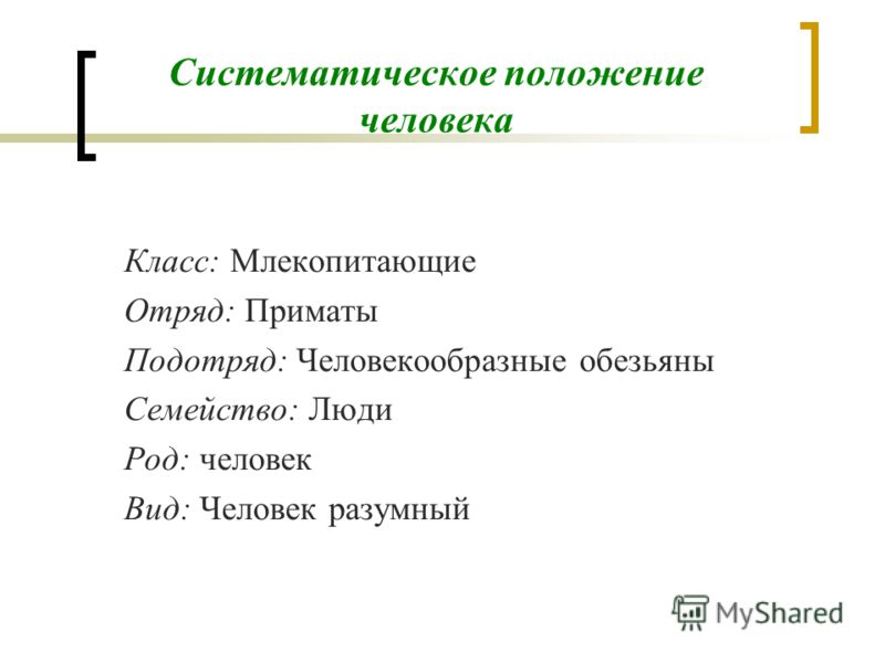 План-конспект урока биологии в 8 классе систематическое положение человека