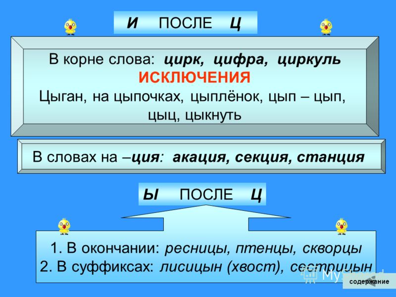 Корень В Слове Крыжовника
