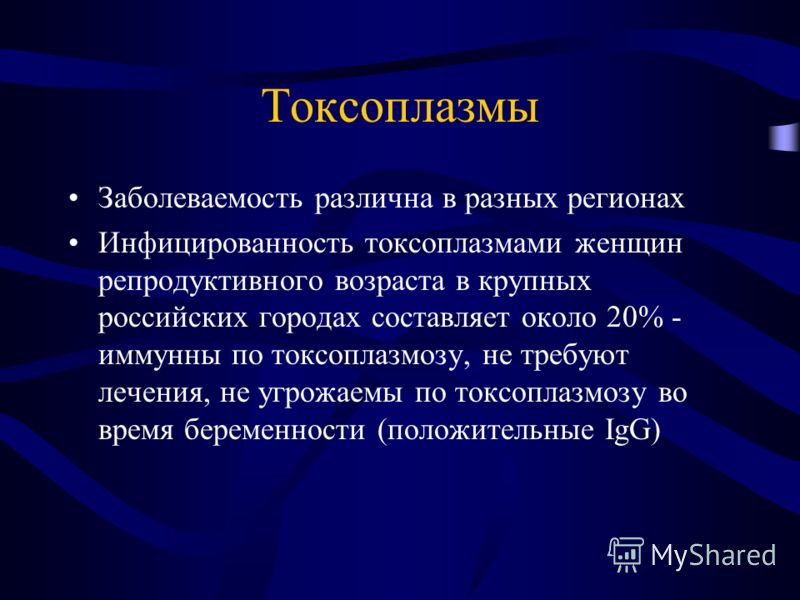 Токсоплазма положительная при беременности