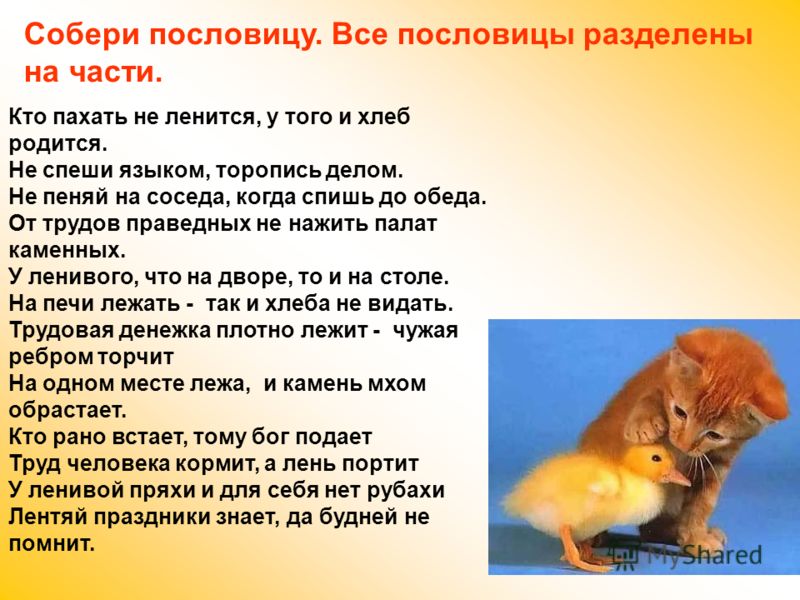 Какой праздник для кота однажды заканчивается пословица 128