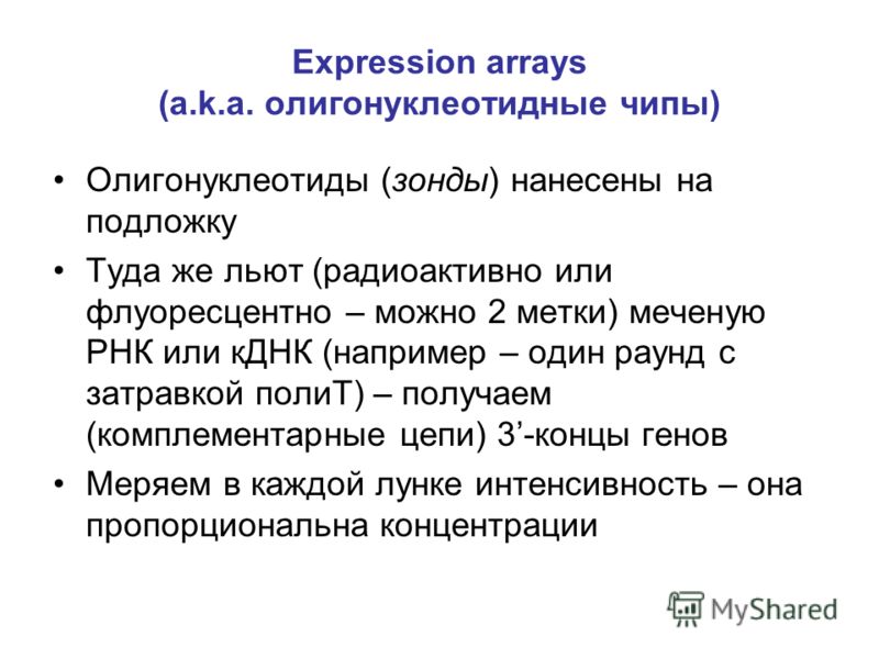 Expression 2 Чипы Expression 2 Чипы