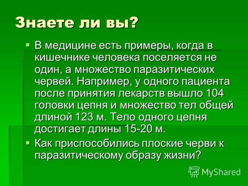 как определить черви в организме как определить черви в организме