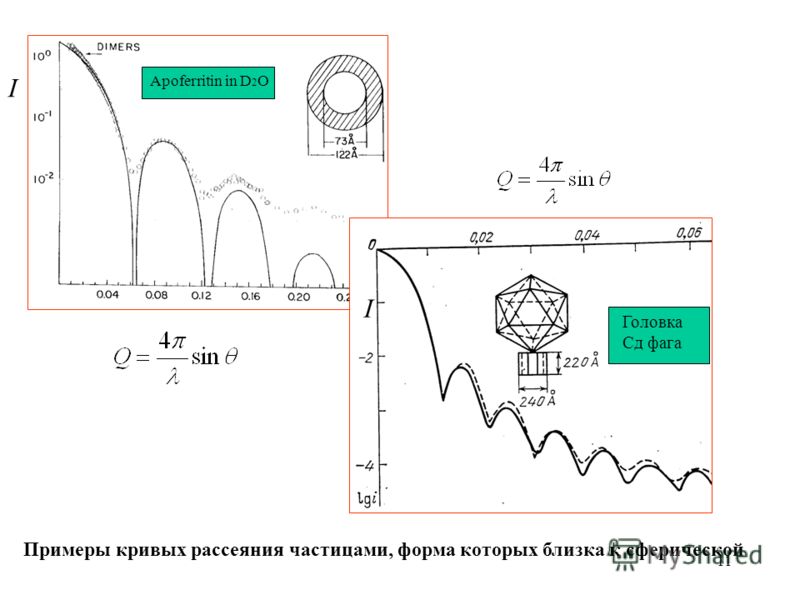 11 Apoferritin in D 2 O I Головка Cд фага Примеры кривых рассеяния частицами, форма которых близка к сферической I
