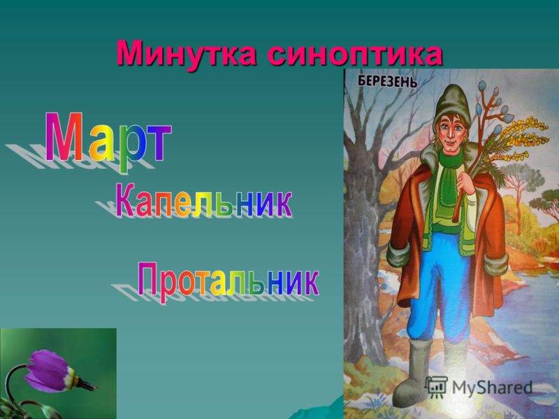 Картинки природы и животных все подряд Картинки природы и животных все подряд
