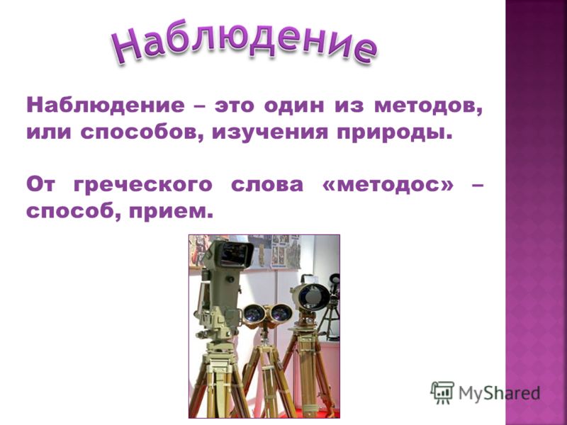 Картинки природы со словами Картинки природы со словами