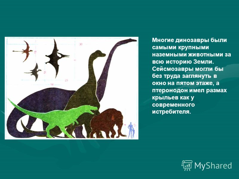 самые большие животные за всю историю земли это бар нового