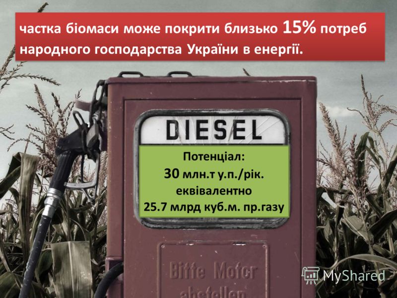 частка біомаси може покрити близько 15% потреб народного господарства України в енергії. Потенціал: 30 млн.т у.п./рік. еквівалентно 25.7 млрд куб.м. пр.газу