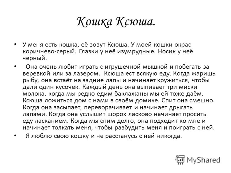 Сочинение Про Кошку 5 Сочинение Про Кошку 5
