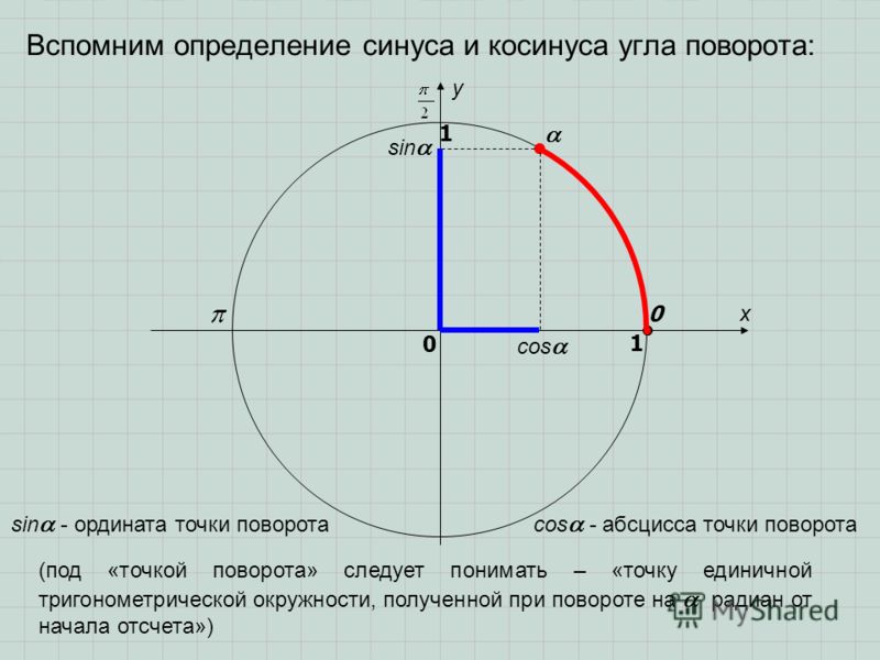 Презентация графики функций синус и косинус 10 класс