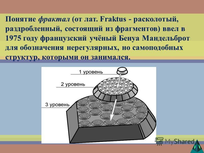 Понятие фрактал (от лат. Fraktus - расколотый, раздробленный, состоящий из фрагментов) ввел в 1975 году французский учёный Бенуа Мандельброт для обозначения нерегулярных, но самоподобных структур, которыми он занимался.
