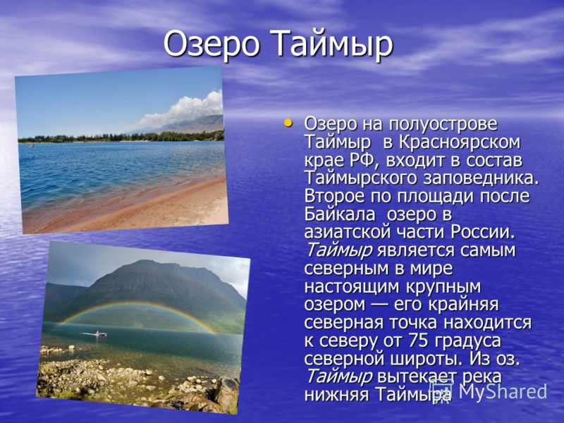 Озеро Таймыр Презентация