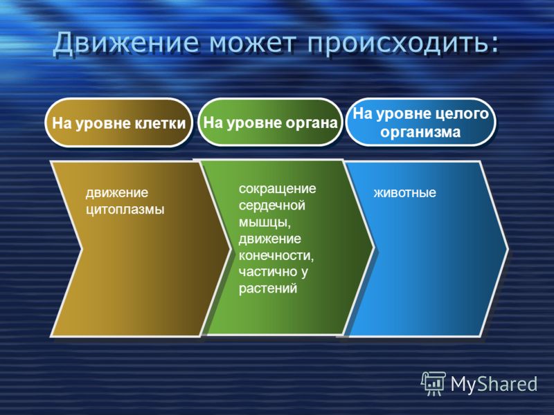 Презентация движение по биологии 6 класс