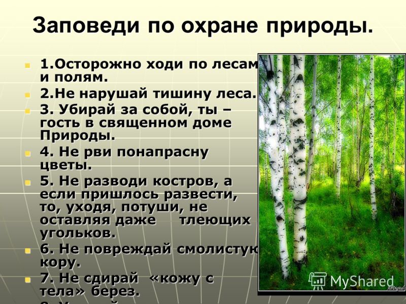Что связано с охраной природы Что связано с охраной природы