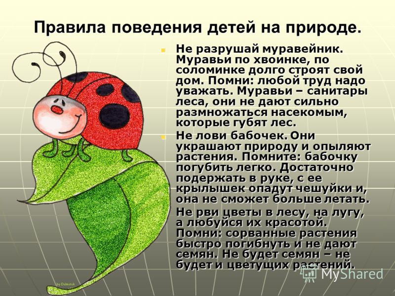 Сохрани природу для детей картинки Сохрани природу для детей картинки