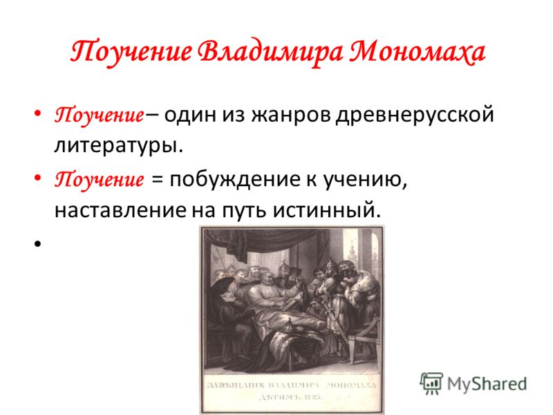 Почему улитка ахатина закрылась пленкой Почему улитка ахатина закрылась пленкой