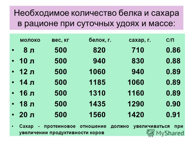 Протеиновое отношение в рационе Протеиновое отношение в рационе