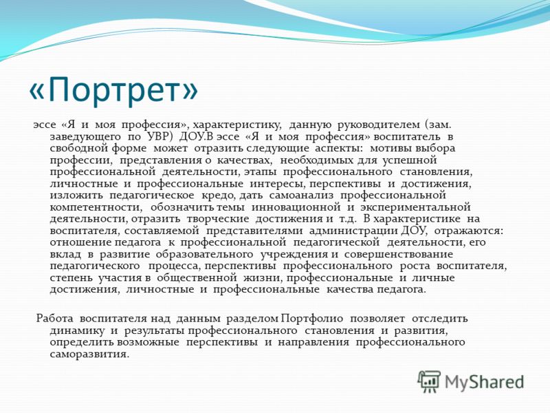portrait essay portrait essay