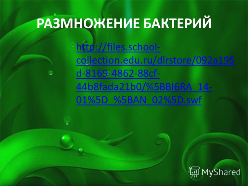 какие организмы называются паразитами какие организмы называются паразитами