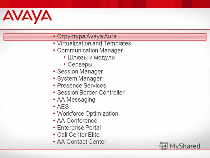 Avaya Communication Manager Call Center Software Basic Call Management System