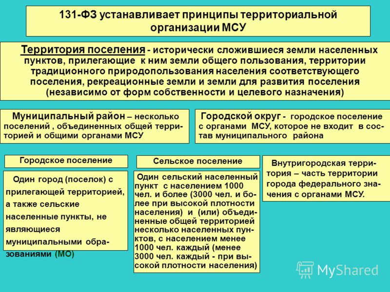 Проект 131 фз