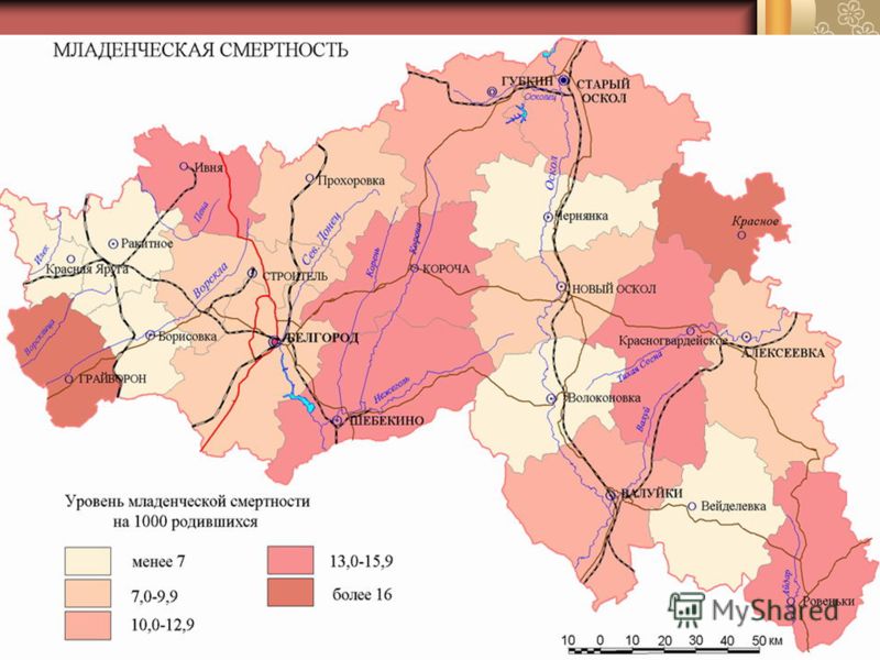 Причины демографических проблем Причинами демографических проблем в России, в том числе в Белгородской области, наши сограждане считают низкий уровень жизни, высокие цены (20 %) и маленькие детские пособия (19 %). 17 % жалуются на недостаточное число