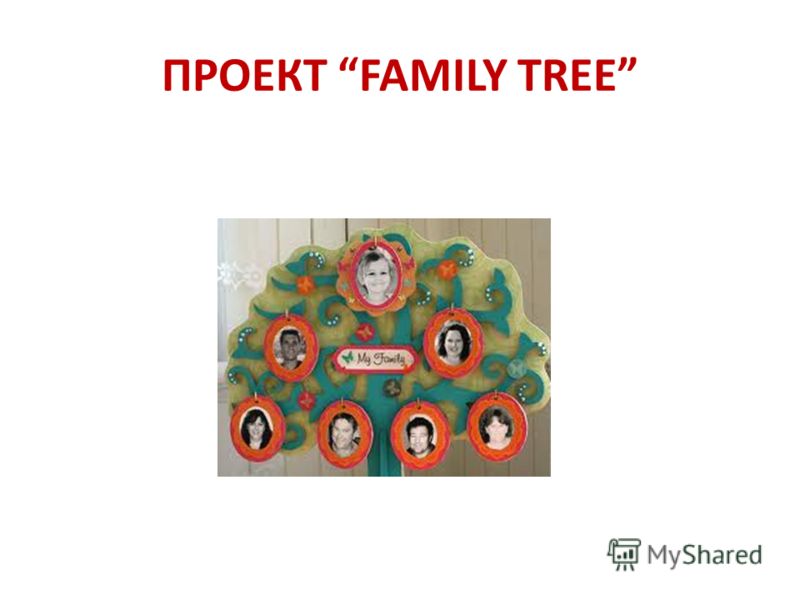 ПРОЕКТ FAMILY TREE