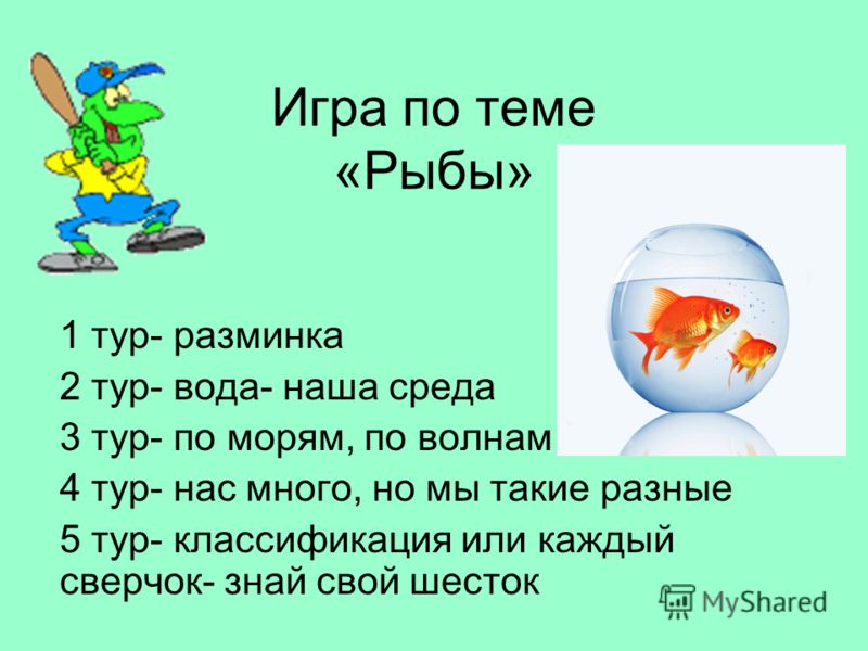 1 Тур Фото