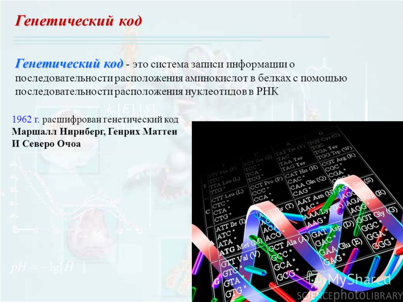 Генетический код Генетический код Генетический код - это система записи информации о последовательности расположения аминокислот в белках с помощью последовательности расположения нуклеотидов в РНК 1962 г. расшифрован генетический код Маршалл Нирнбер