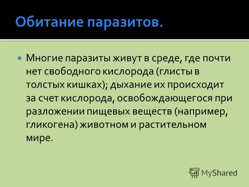 паразиты в кишках человека паразиты в кишках человека
