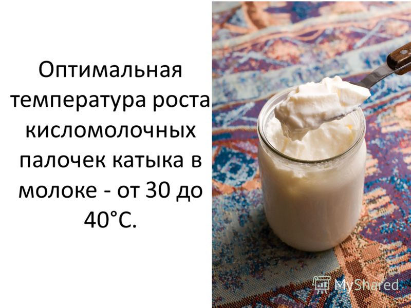 Оптимальная температура роста кисломолочных палочек катыка в молоке - от 30 до 40°С.