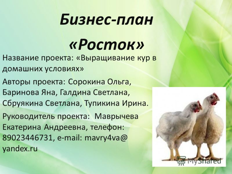 Бизнес план для бизнеса в домашних условиях Бизнес план для бизнеса в домашних условиях
