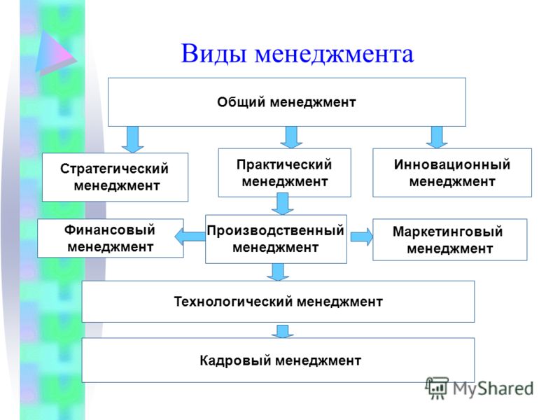 ecology of coastal vegetation proceedings of a symposium