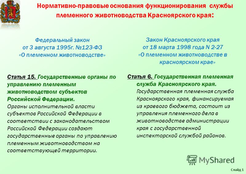 Реферат: Современное состояние животноводства в России