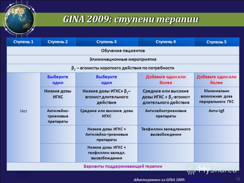 GINA 2009: ступени терапии 55 Адаптировано из GINA 2009: www.ginasthma.orgwww.ginasthma.org