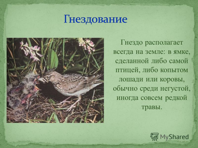 Выходные дни на 2017 год в крыму