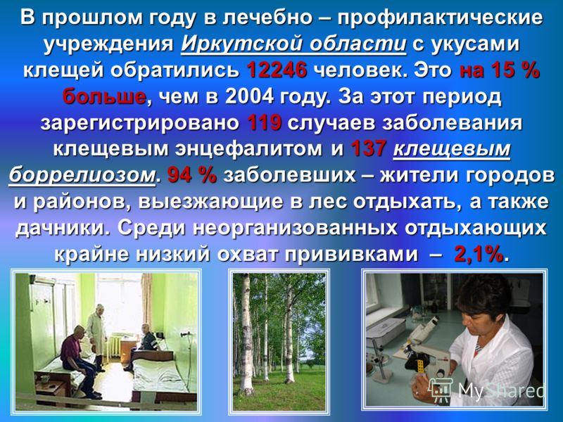 В прошлом году в лечебно – профилактические учреждения Иркутской области с укусами клещей обратились 12246 человек. Это на 15 % больше, чем в 2004 году. За этот период зарегистрировано 119 случаев заболевания клещевым энцефалитом и 137 клещевым борре