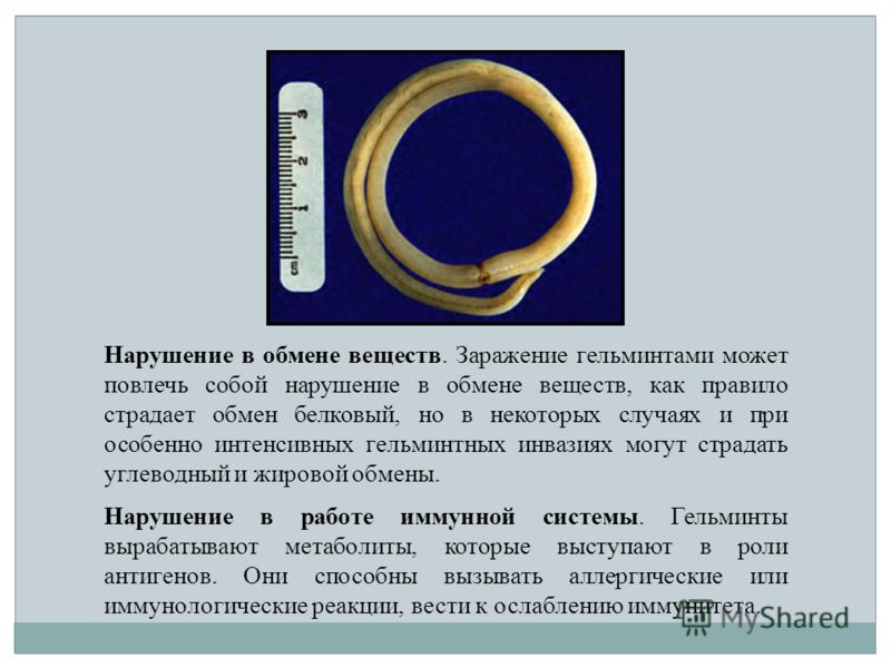 вывод паразитов из организма содой вывод паразитов из организма содой
