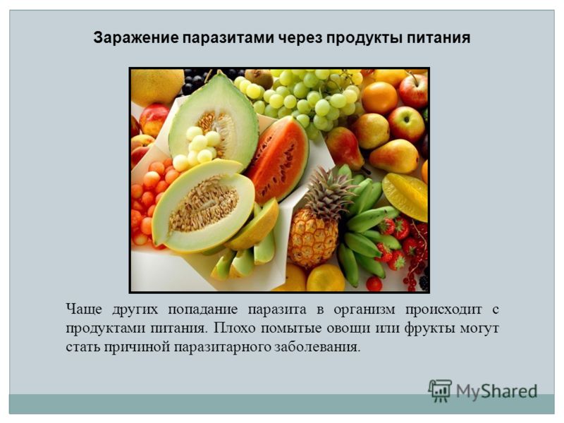 Чаще других попадание паразита в организм происходит с продуктами питания. Плохо помытые овощи или фрукты могут стать причиной паразитарного заболевания. Заражение паразитами через продукты питания