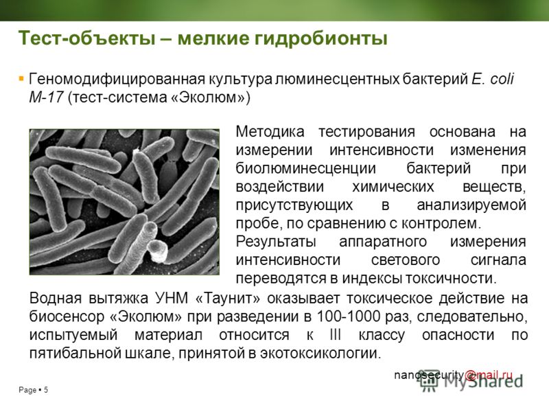 Page 5 nanosecurity@mail.ru Тест-объекты – мелкие гидробионты Геномодифицированная культура люминесцентных бактерий E. coli М-17 (тест-система «Эколюм») Методика тестирования основана на измерении интенсивности изменения биолюминесценции бактерий при