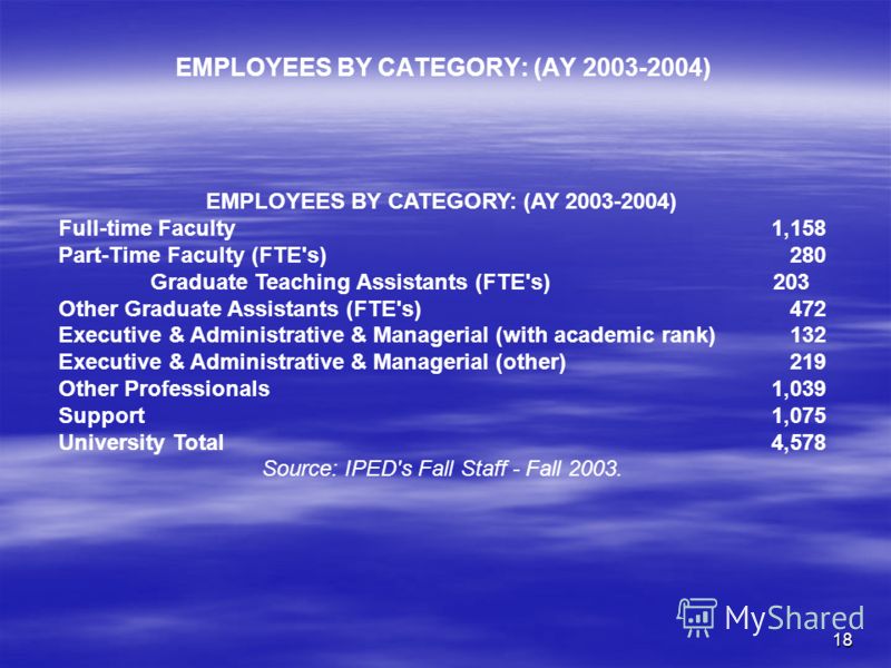18 EMPLOYEES BY CATEGORY: (AY 2003-2004) Full-time Faculty 1,158 Part-Time Faculty (FTE's) 280 Graduate Teaching Assistants (FTE's) 203 Other Graduate Assistants (FTE's) 472 Executive & Administrative & Managerial (with academic rank) 132 Executive &