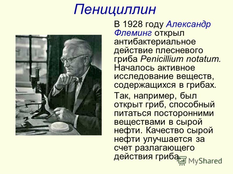 Пенициллин В 1928 году Александр Флеминг открыл антибактериальное действие плесневого гриба Penicillium notatum. Началось активное исследование веществ, содержащихся в грибах. Так, например, был открыт гриб, способный питаться посторонними веществами