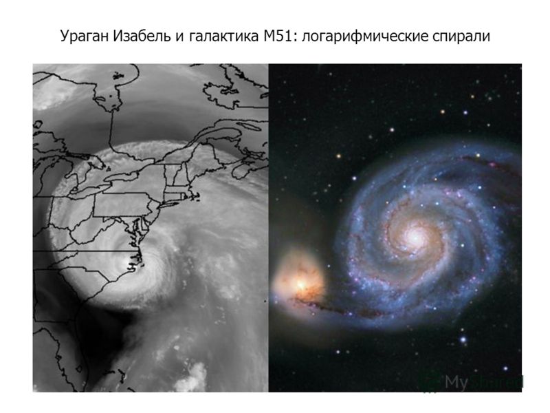 Ураган Изабель и галактика M51: логарифмические спирали